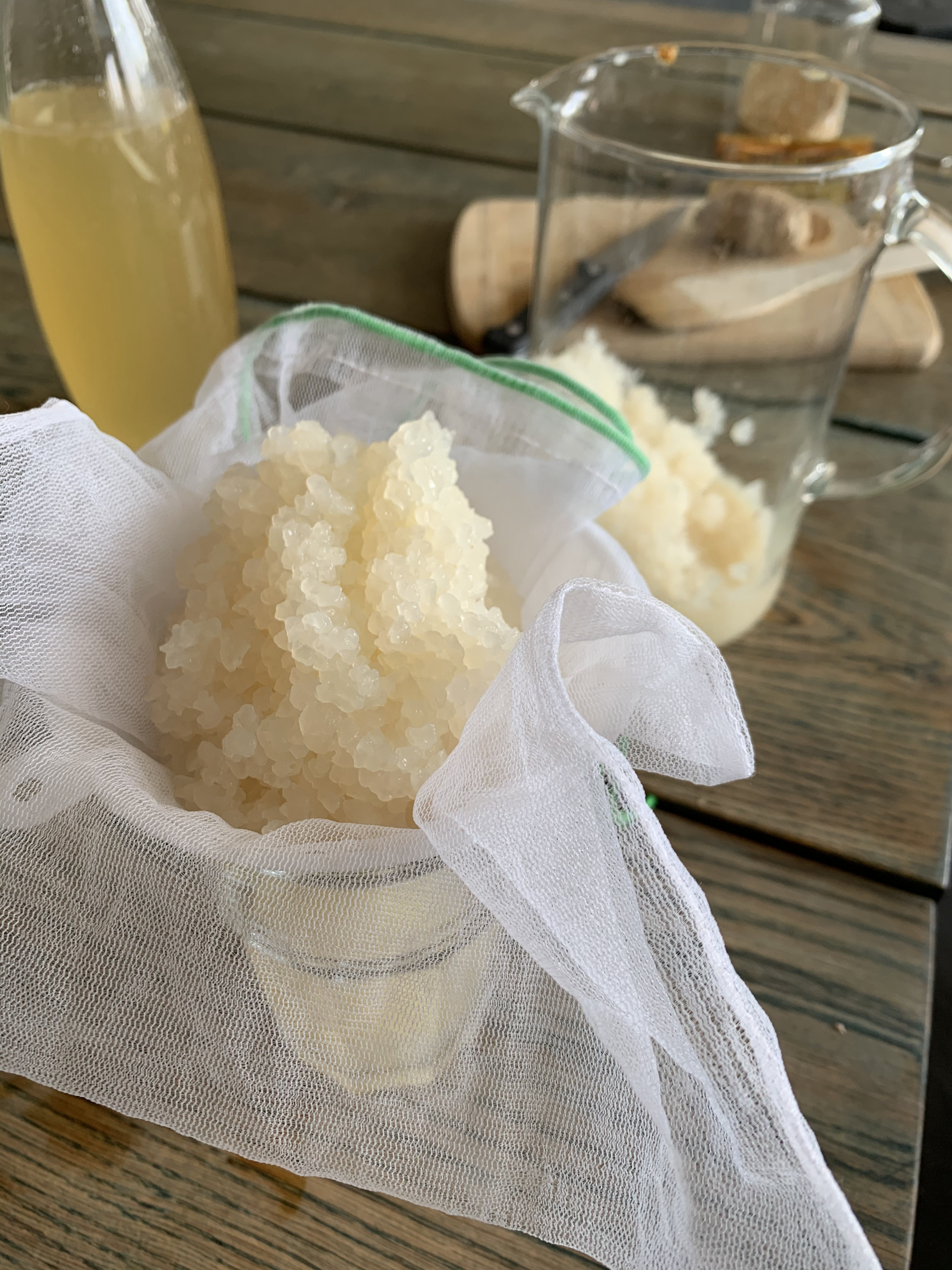 Water Kefir grains